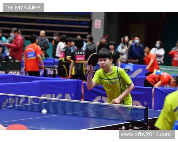 深圳乒乓球队的崛起之路联合会杯背后的奋斗与荣耀