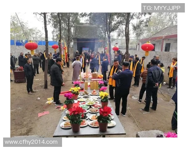 贾姓足球明星的传奇故事与辉煌成就揭秘